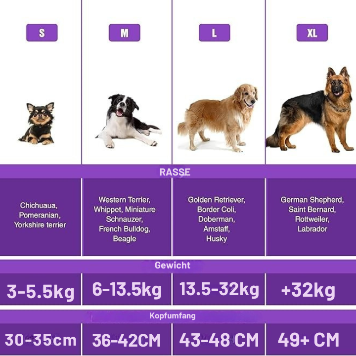 Pfotenruhe - Silvester Gehörschutz